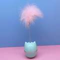 Plastic Cat Self-Entertainment Feather Tumbler Toy1