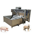 Efficient Pig and Poultry Hair Removal: Exploring Multifunctional Dehair Machines1