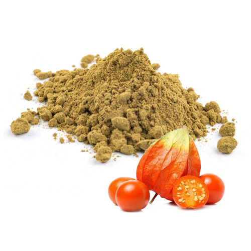 Is Ashwagandha Extract Better Than Powder?