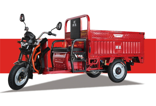 طراز جديد 2023 Trike Electric