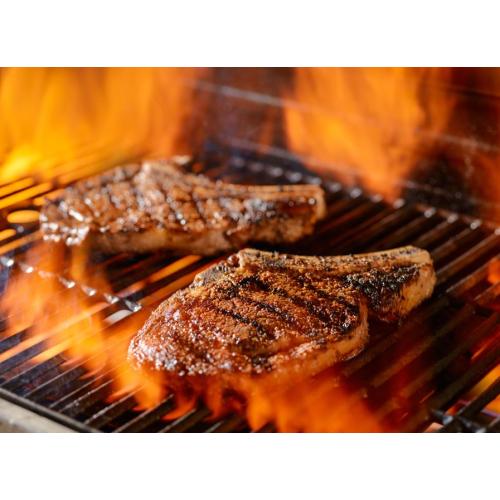 What is the best barbecue grill
