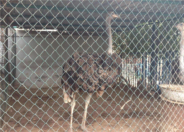 chain link fence 