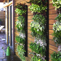 07/04/9/12/18/36/64 Pocket Pocket Pocket Pocket Pocket Outdoor Fabric Wall Planter Sacos Grown Bols