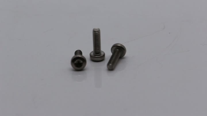 GB26732 M3*10 SUS 304 whitewashed pan head hexalobular slot machine screw