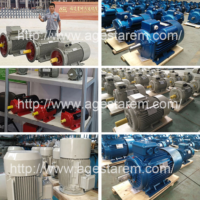 Fujian Agestar Electrical Machinery Co.,Ltd.