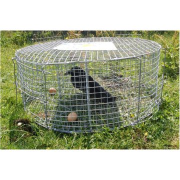 Top 10 Bird Traps Cage Manufacturers