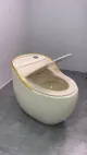Prosta łazienka sanitarna miska toaletowa jednoczęściowa