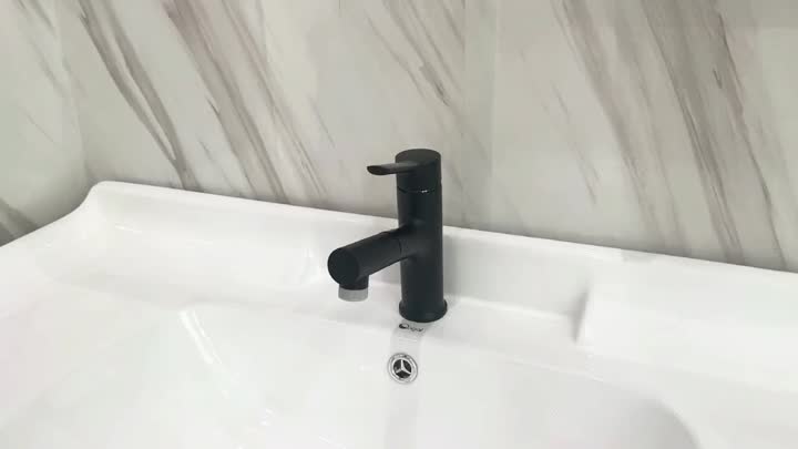 Pull Out Basin Faucet Black