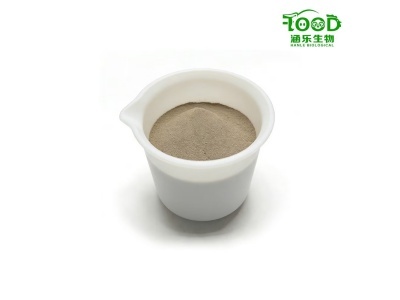 Shanghai Hanle Biotechnology revela novas soluções inovadoras de aditivos para rações para capacitar a pecuária sustentável