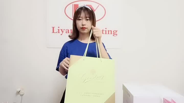 large paper bag 