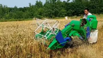LZ-0.8 4ZRubber Rice Harvester Working-06  (1)