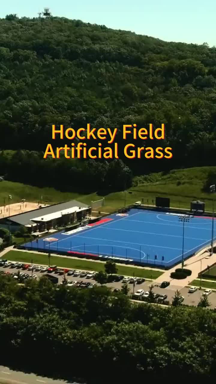 Vidéo de hockey sur terrain 1