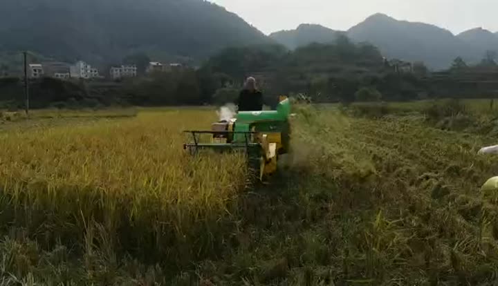 Mini Rice Harvester 4LZ-1.0 Working.mp4