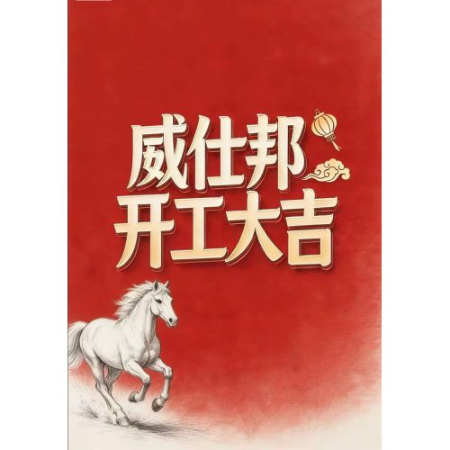 Jiangsu Visionbon New Materials Co., Ltd. wznawia pełną produkcję po wiosennym święcie