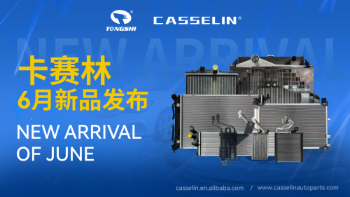 CASSELIN NEW ARRIVAL IN JUNE