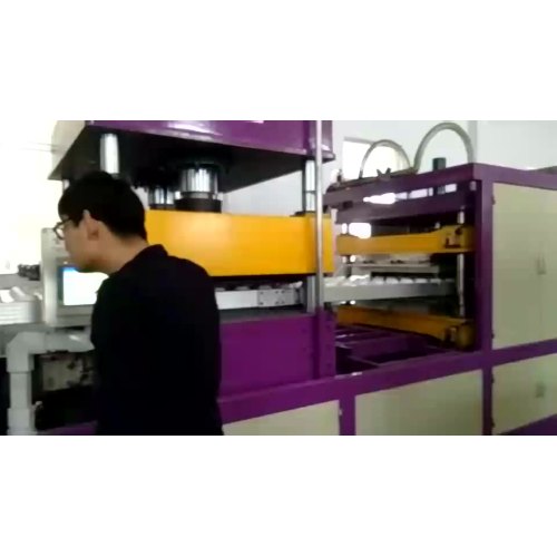 Foam Lunch Plate Vacuum Production Line