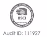 BSCI AUDIT