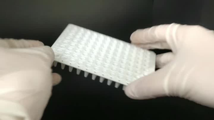 0.2ml 96-Well PCR plate  Without Skirt