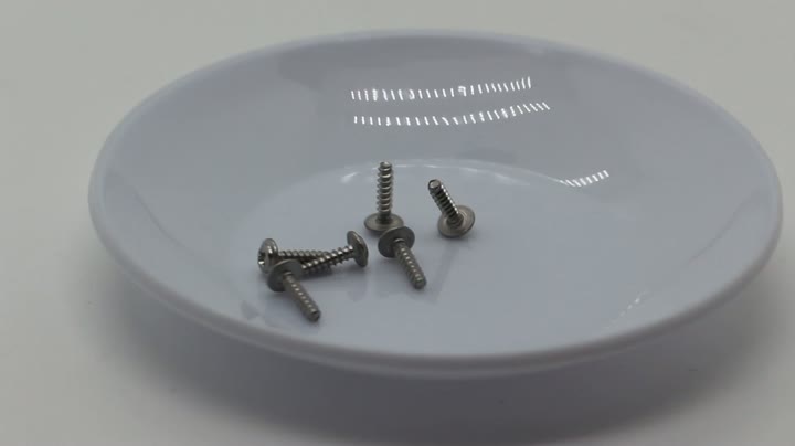 Micro ISO Pan Head Cross PWB2 SUS410 Precision Instrument Screws