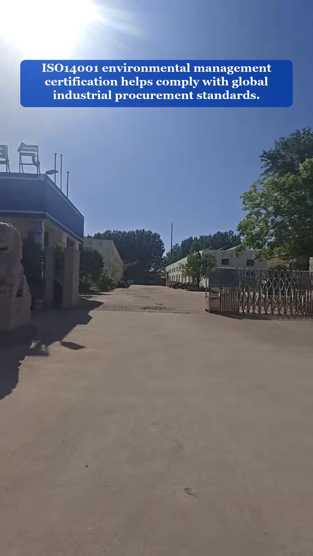 Vídeo 49