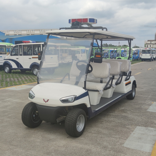 Application of Golf Cart and their important role