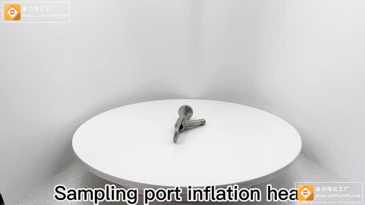 Sampling port inflation head 