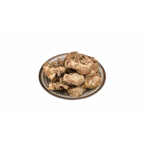 Doubleteeth Angelicae Root
