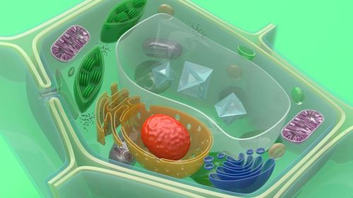 Avanço na indústria bioquímica: a tecnologia de enzimas sustentáveis ​​reduz os resíduos industriais em 40%