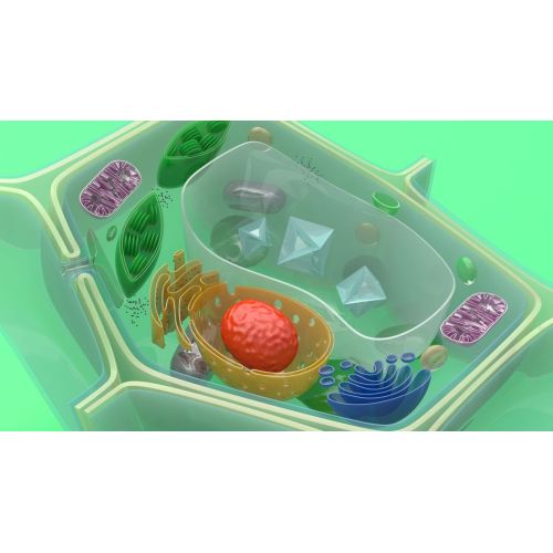 Avanço na indústria bioquímica: a tecnologia de enzimas sustentáveis ​​reduz os resíduos industriais em 40%