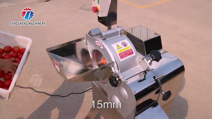 Máquina comercial de cortar vegetais TS-Q180
