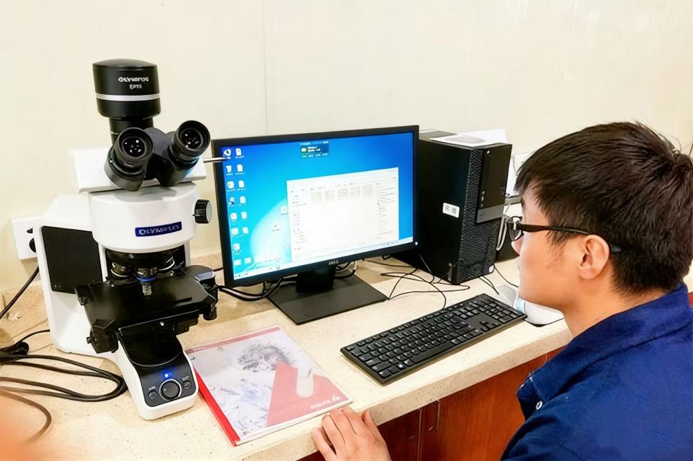 Mould Inspection Equipment