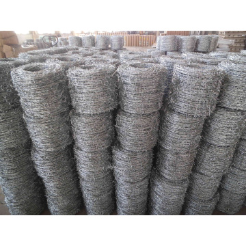 Asia's Top 10 Galvanized Barb Wire Mesh Brand List