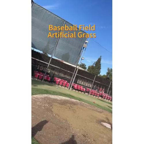 Baseball Field (3)