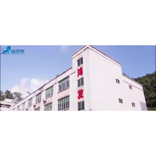 Promotional Video