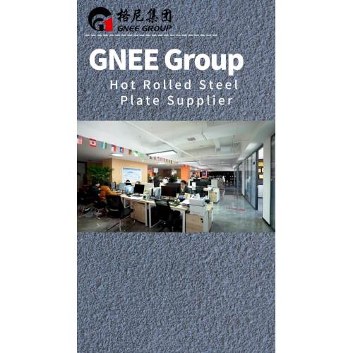 GNEE Group Office Environment Showcase