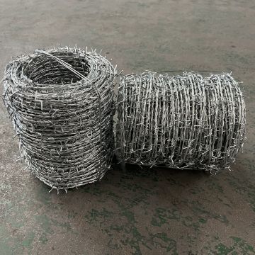 Galvanized PVC barbed wire (3)