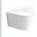 BAILU A-011 Modern 220V Toilet Bidet Accessories1