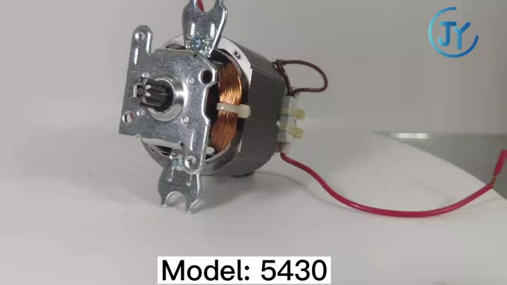 Motor de liquidificador 5430