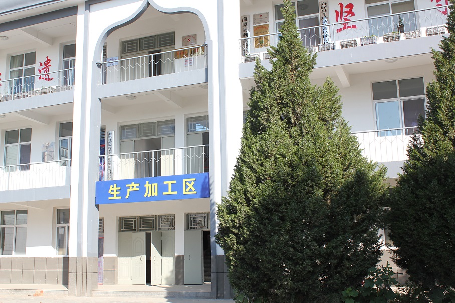 Haiyuan Aisha Handicrafts Company Limted
