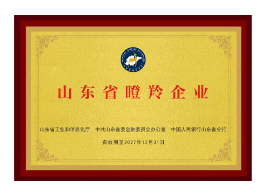 Gazelle Enterprise of Shandong Province
