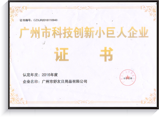 Guangzhou Science and Technology Innovation Little Giant Enterprise Certificate广州市科技创新小巨人企业证书