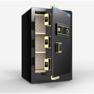 China Top 10 Electronic Password Safebox Brands