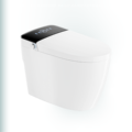 BAILU A-010 Smart Toilet Accessories for Bathroom1