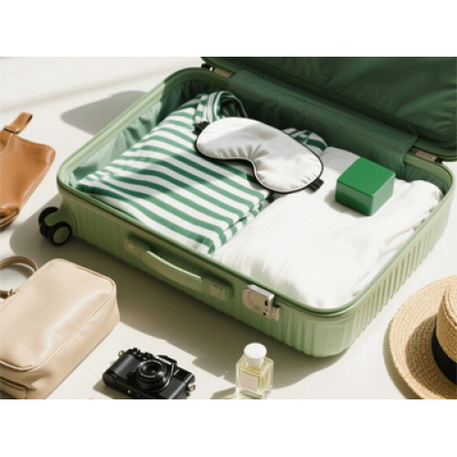 2026 ازدهار صناعة الأمتعة العالمية: الابتكار الذكي والاستدامة وانتعاش السفر يدفعان نمو السوق