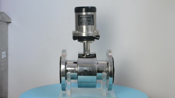 DN80 Acero inoxidable 304 Flowmeter