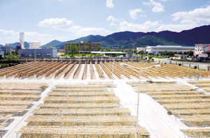 Zhejiang Fudan Tourism Foods Co., Ltd.