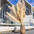 Large Fluffy Dried Pampas Grass - White Gray Tall Artificial Flower for Wedding Home Decor1