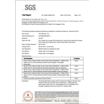 LFGB Test Report