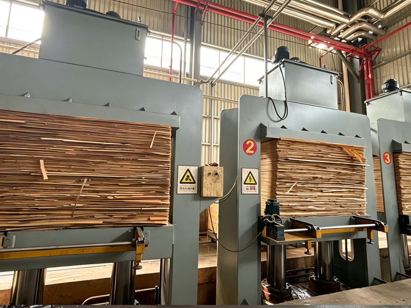 processing machine