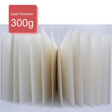 Ten Chinese Gsm Watercolour Pad Drawing Paper Suppliers Popular in European and American Countries